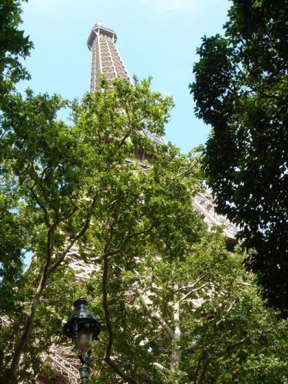 Hotel De L'Exposition - Tour Eiffel - image 11