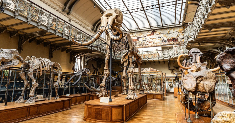 Bonjour Paris! Your Ultimate 2025 Travel Guide