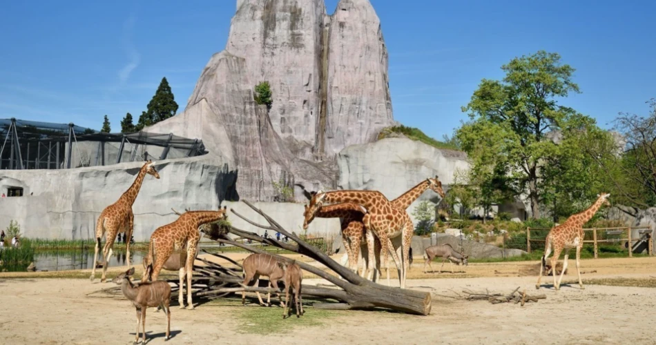 Bonjour Paris! Your Ultimate 2025 Travel Guide