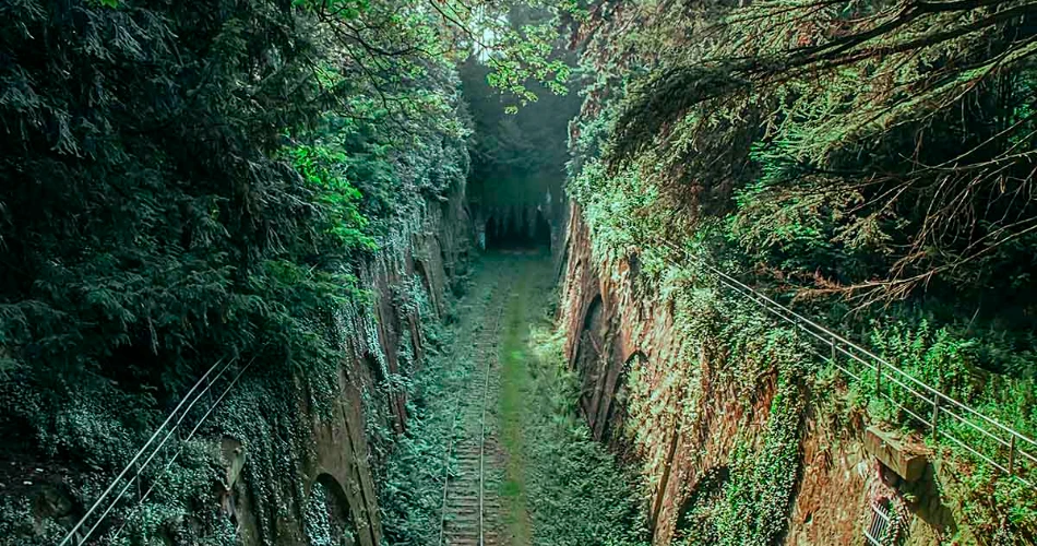 10 Fun Ways to See Paris Like a Local