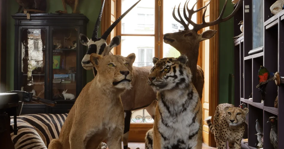 10 Fun Ways to See Paris Like a Local