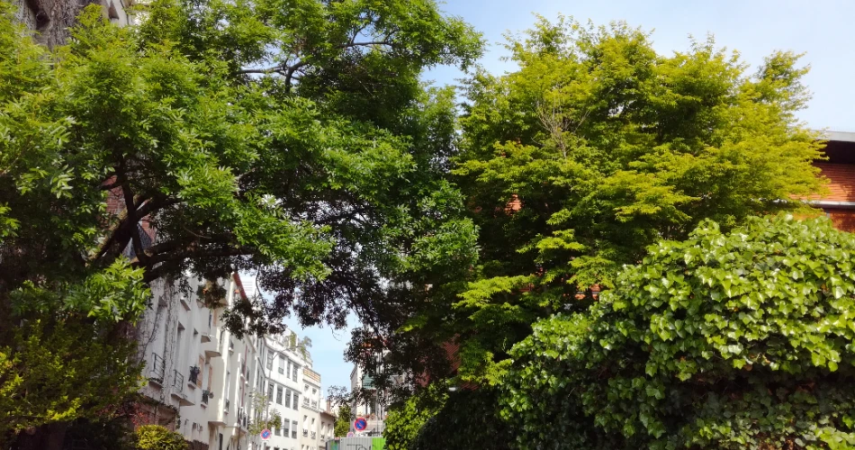 10 Fun Ways to See Paris Like a Local