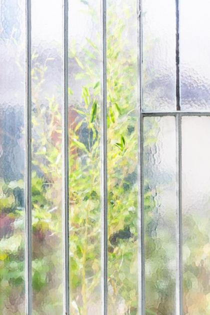 Veeve - Natural Inspiration - image 29