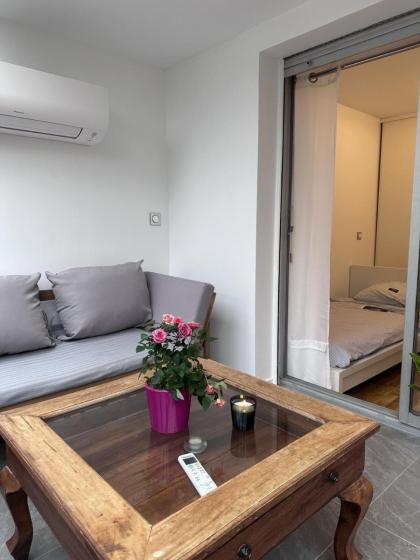 Paris expo Cosy appt T5 avec Jardin - image 28