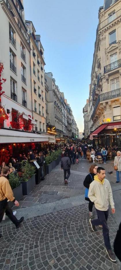 Urban Flat 70 - Authentic 3BDR Parisian Flat - image 27